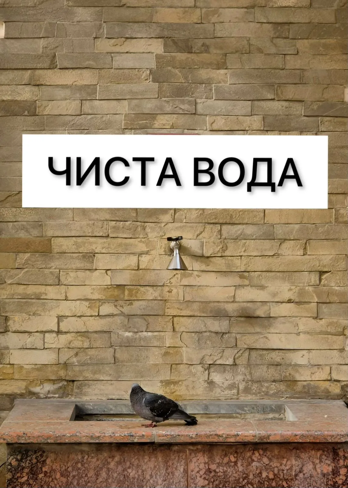 Фото новини